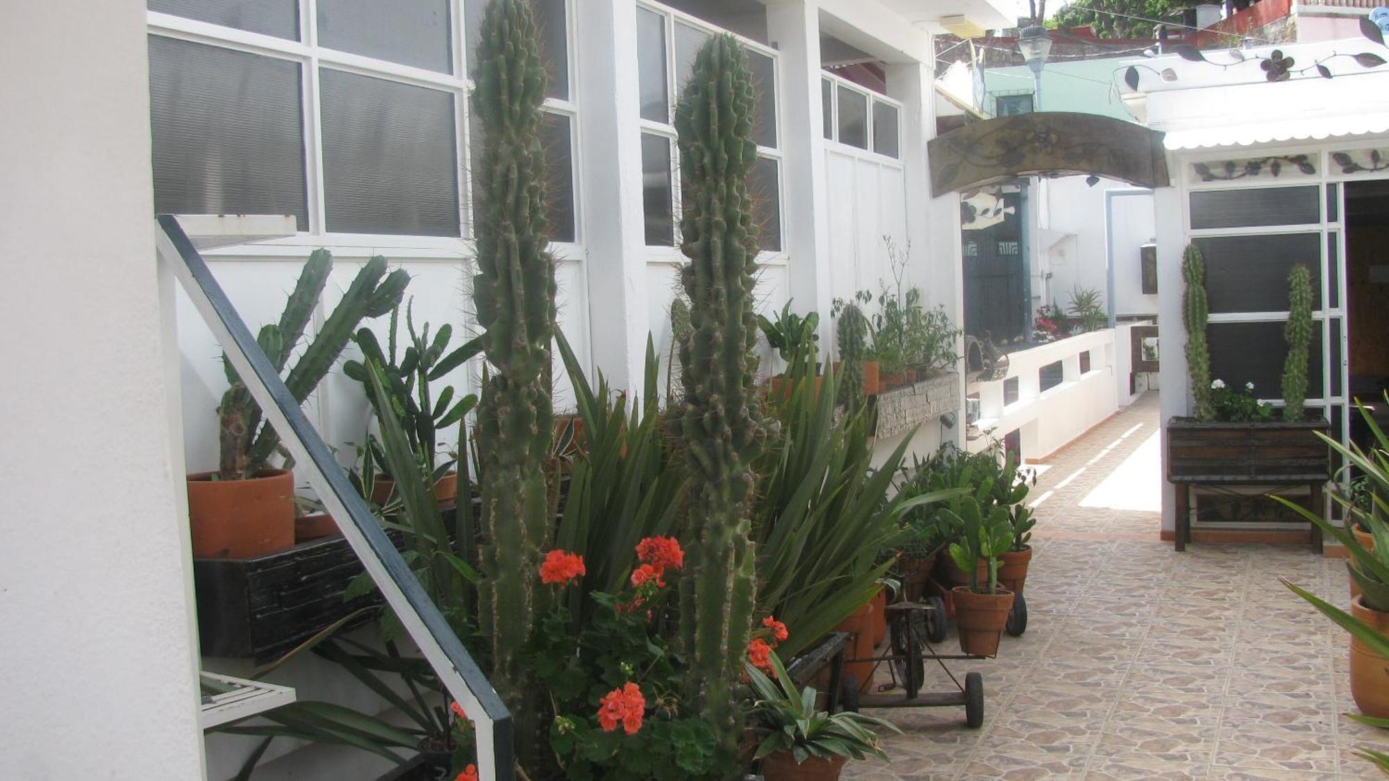 Casa Zuniga B&B Guanajuato Buitenkant foto
